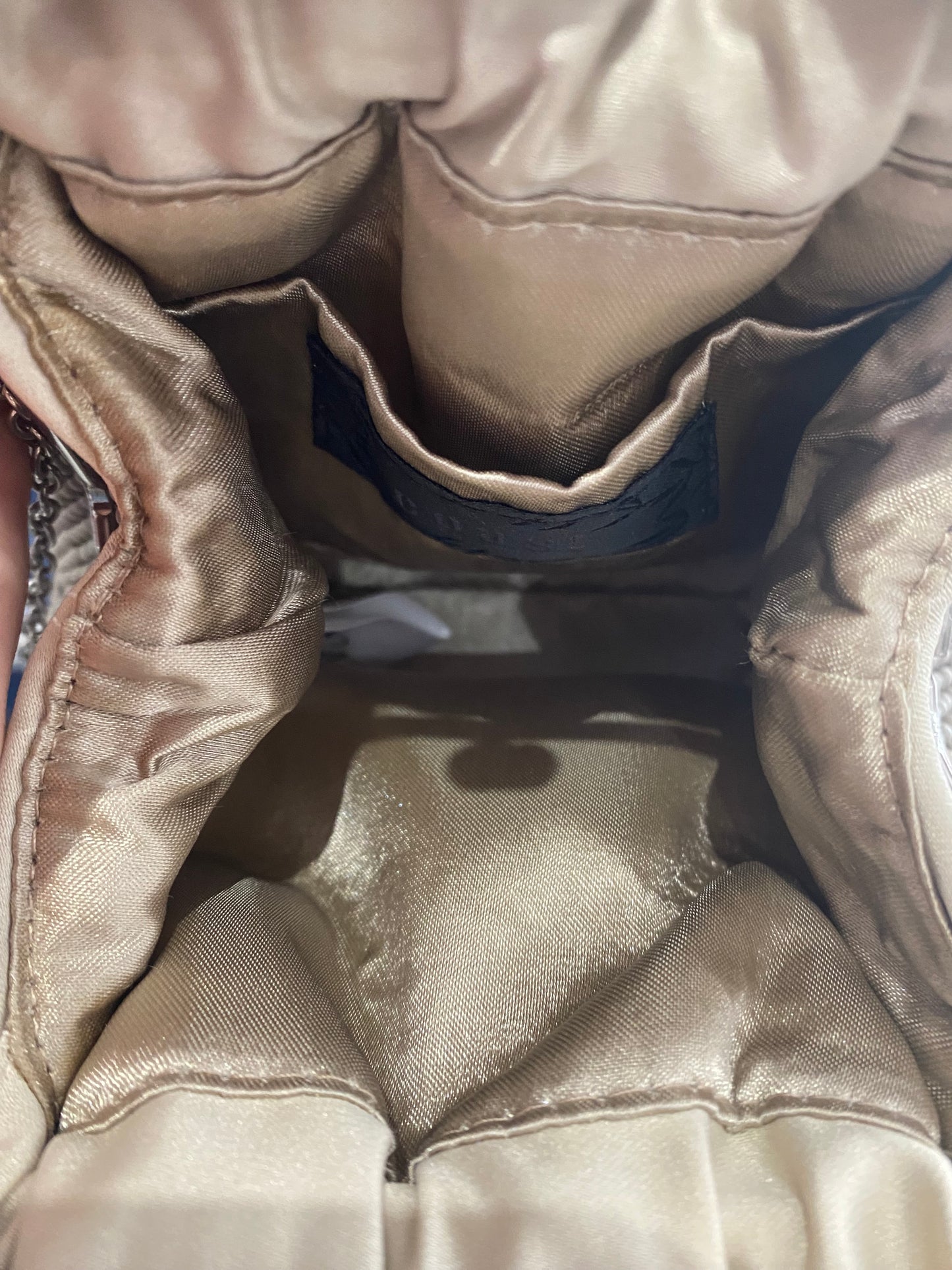 Coast embellished evening bag