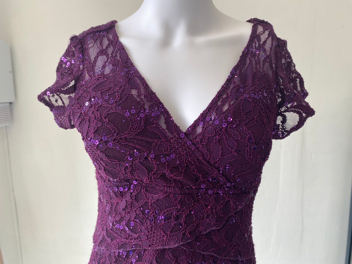 Scarlet Nite Evening Dress Size 10