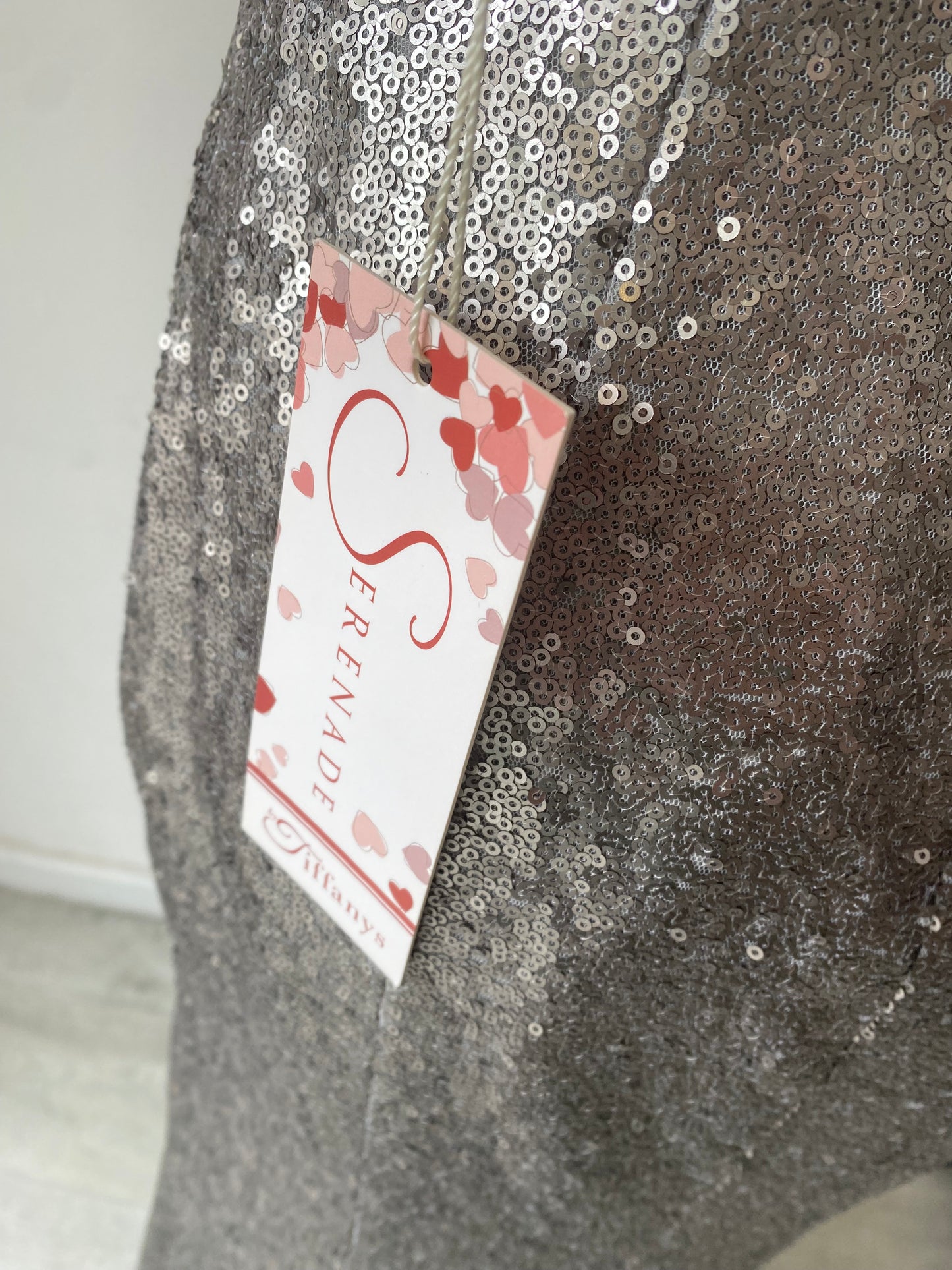 Serenade by Tiffany’s Silver Sequin Ball Gown Size 6-8