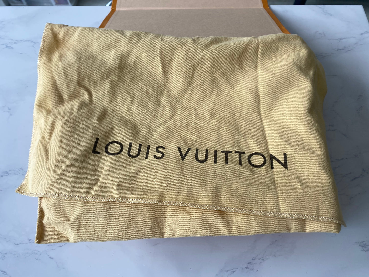 Louis Vuitton Louisa GM Handbag