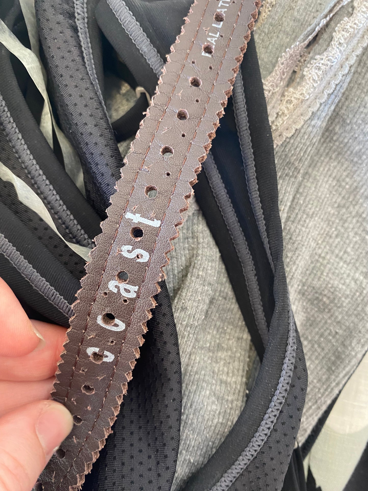 Coast Brown Leather Belt with Bow Detail Size 10