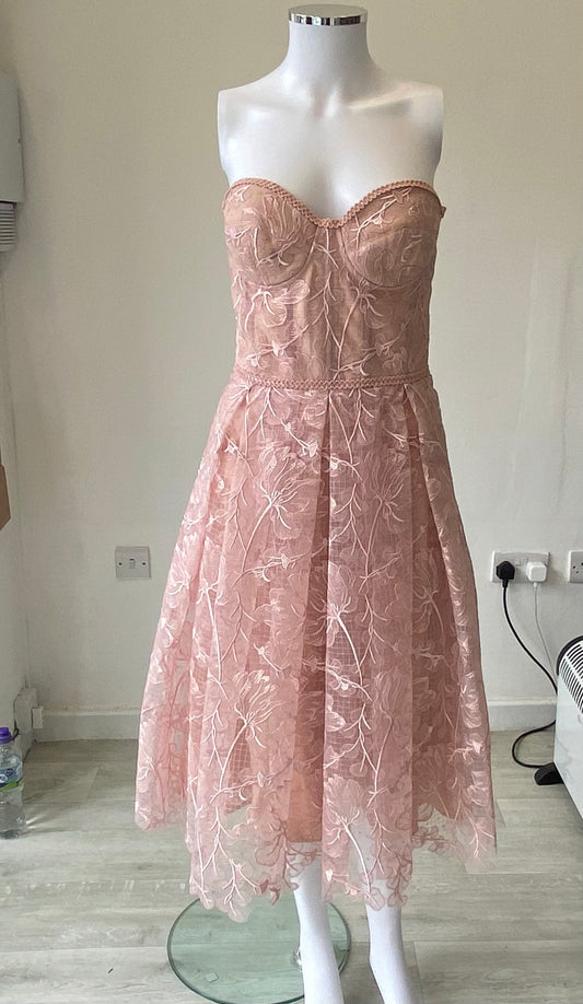 Nadine Merabi Olivia Dress New with Tags Size 8-10