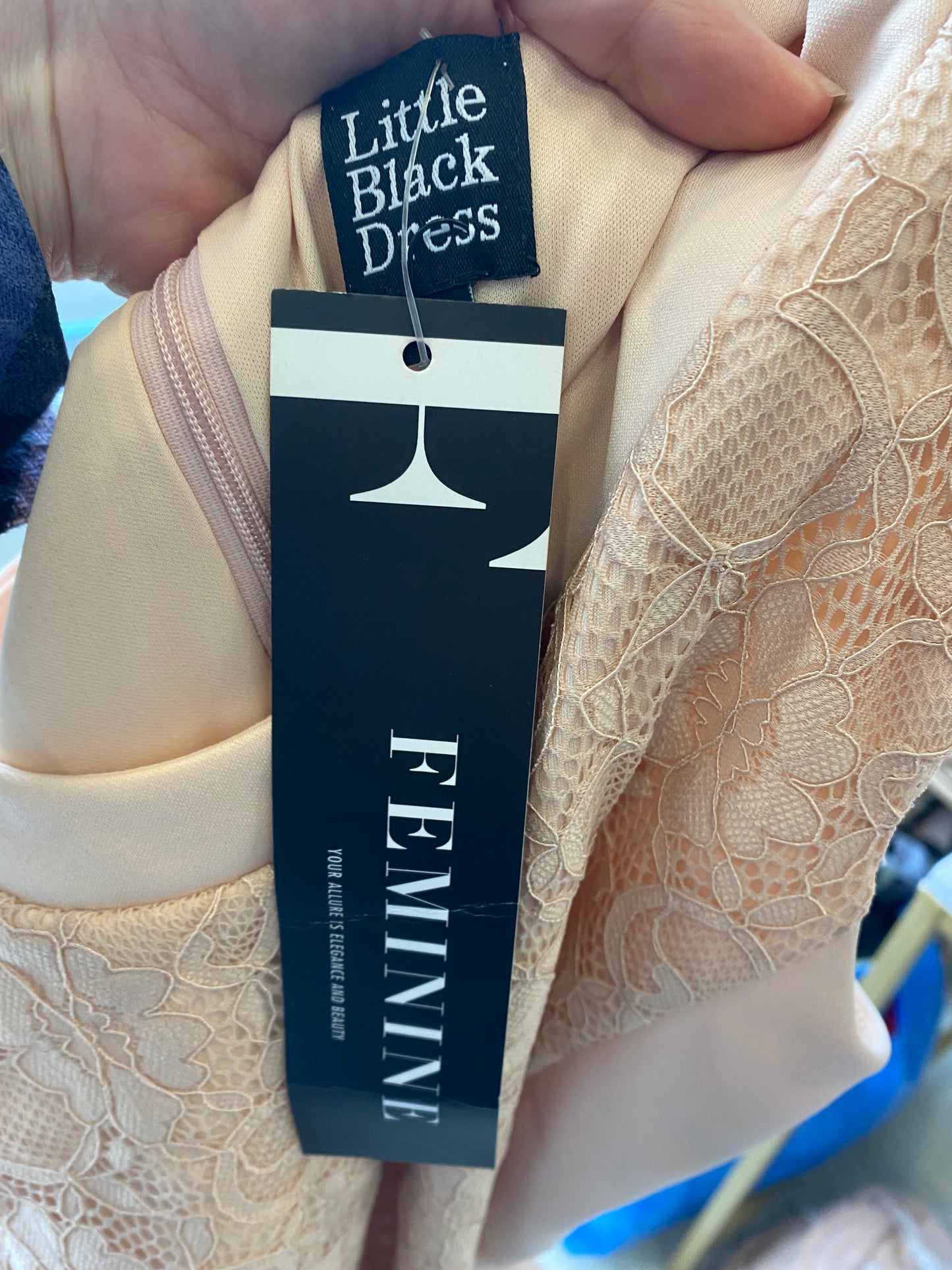 Little Black Dress Beige Lace Panel Dress Size 10