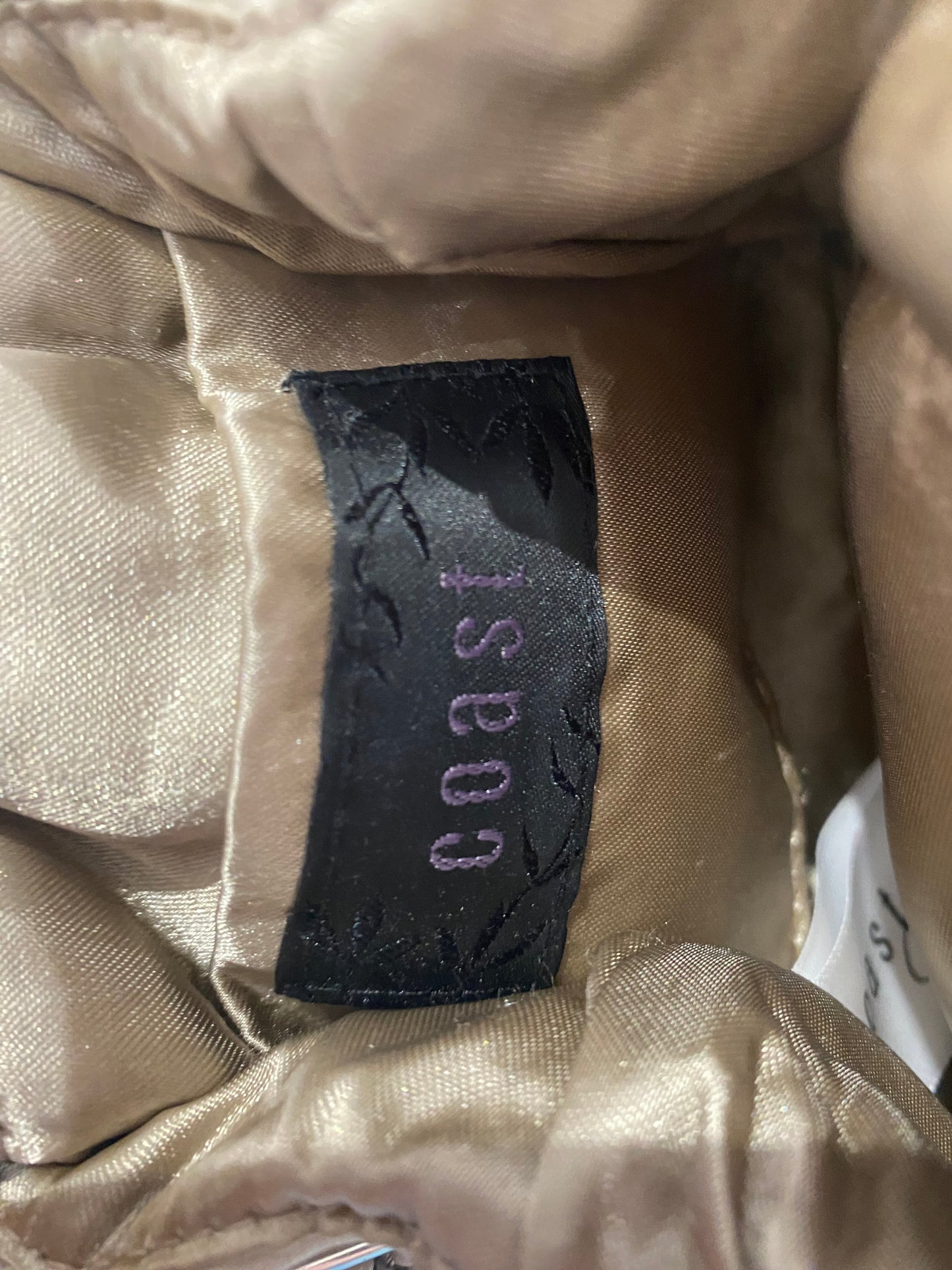 Coast embellished evening bag